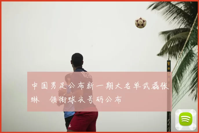 中国男足公布新一期大名单武磊张琳芃领衔球衣号码公布
